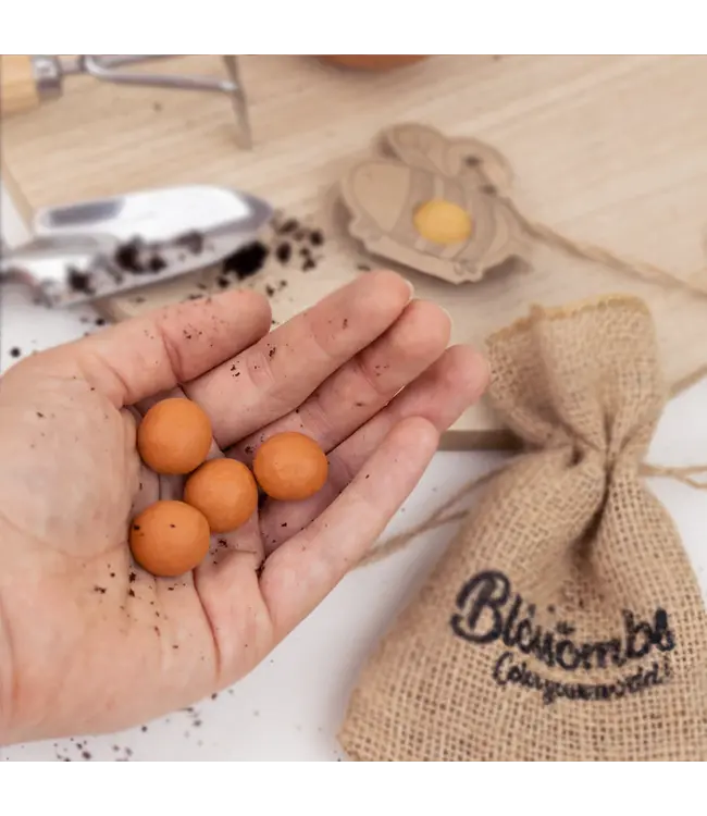 BLOSSOMBS •• Grow Kit | Voor jou!