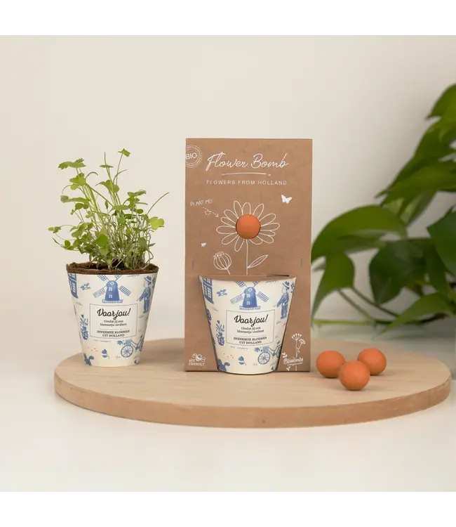 BLOSSOMBS •• Grow Kit | Voor jou!