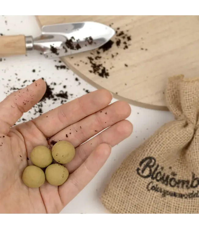 BLOSSOMBS •• Grow Kit | Bedankt