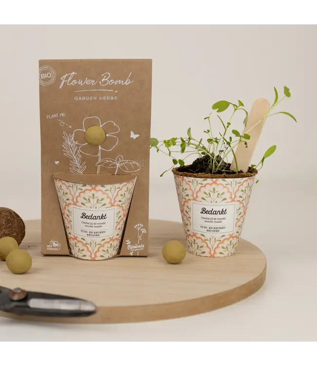 BLOSSOMBS •• Grow Kit | Bedankt