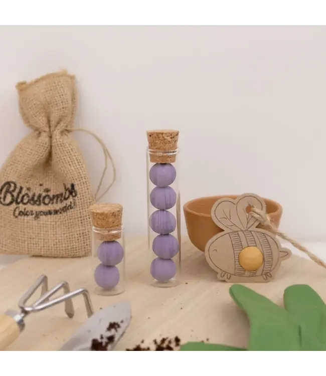 BLOSSOMBS •• Grow Kit | Bloemen!