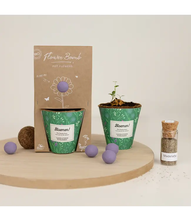 BLOSSOMBS •• Grow Kit | Bloemen!