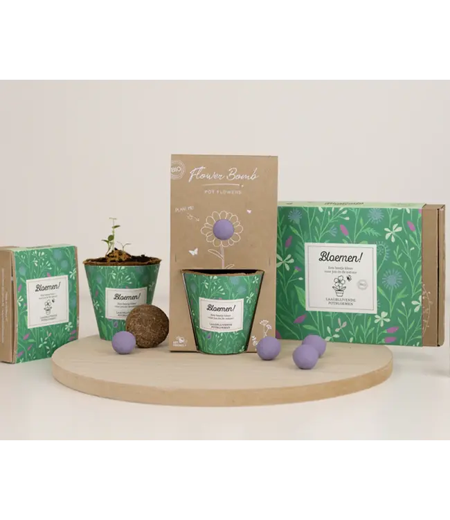 BLOSSOMBS •• Grow Kit | Bloemen!