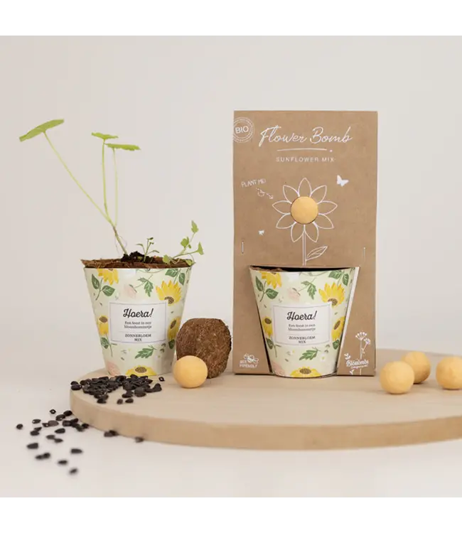 BLOSSOMBS •• Grow Kit | Hoera!