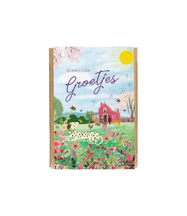 BLOSSOMBS •• Gift Box Mini | Groetjes