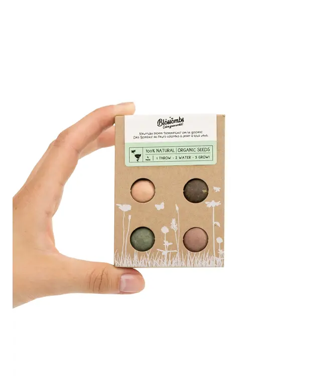 BLOSSOMBS •• Gift Box Mini | Groetjes