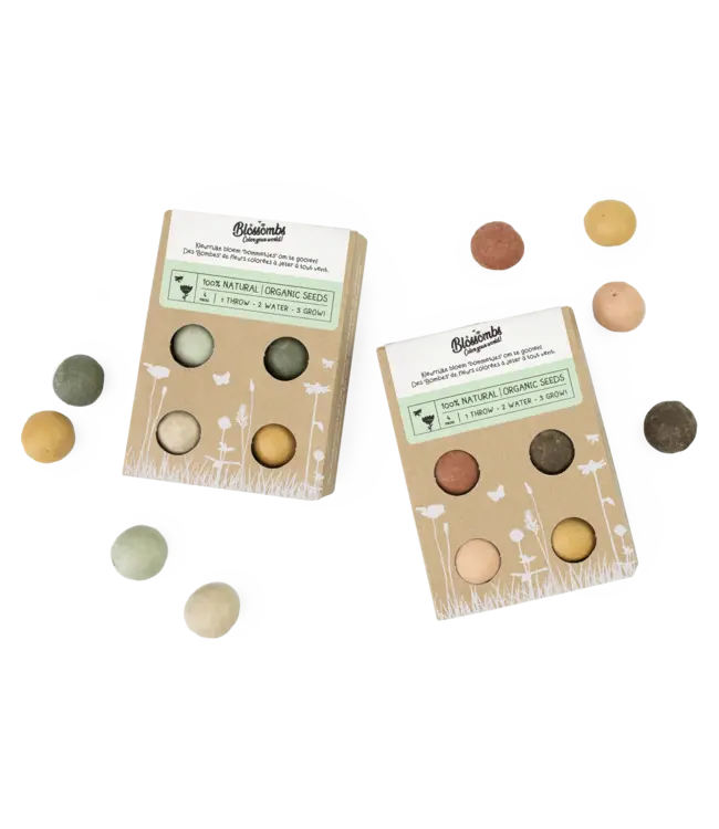 BLOSSOMBS •• Gift Box Mini | Groetjes