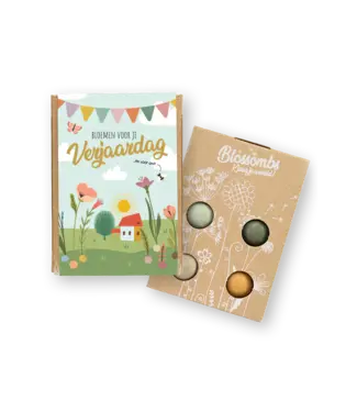 BLOSSOMBS •• Gift Box Mini | Bloemen voor je verjaardag