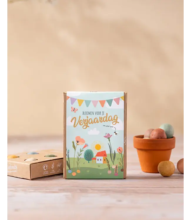 BLOSSOMBS •• Gift Box Mini |Bloemen voor je verjaardag