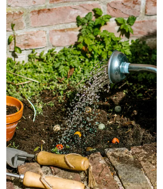 BLOSSOMBS •• Gift Box Mini | Bedankt