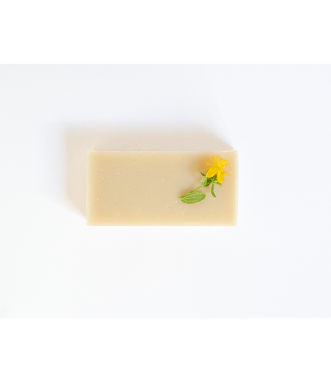 WERFZEEP •• Cleanshampoo | biologisch en handgemaakt