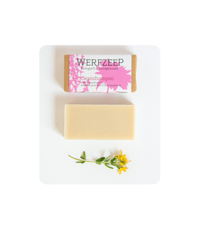 WERFZEEP •• Cleanshampoo