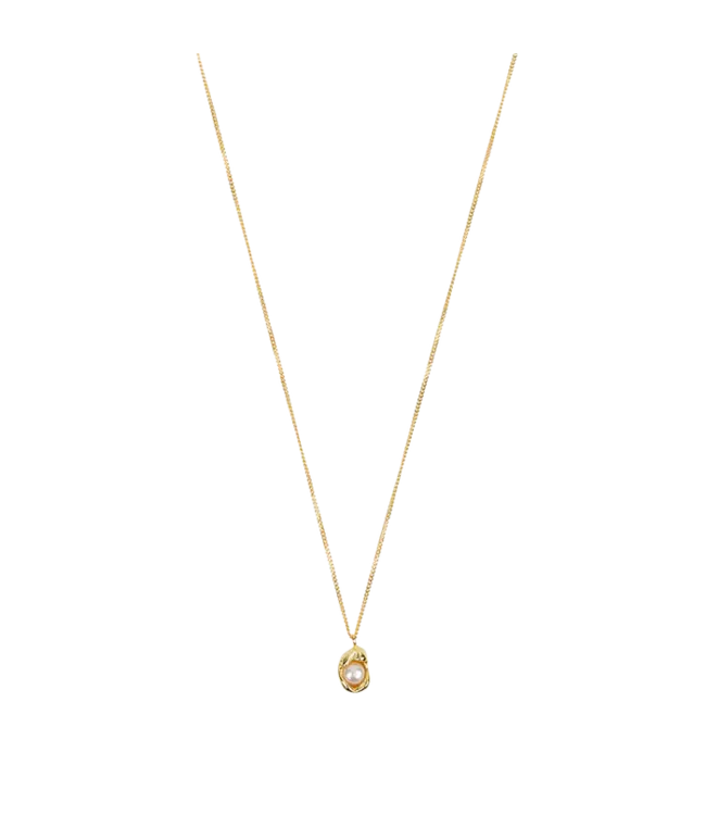JULES BEAN ••Shortie Sugar | schelp parel