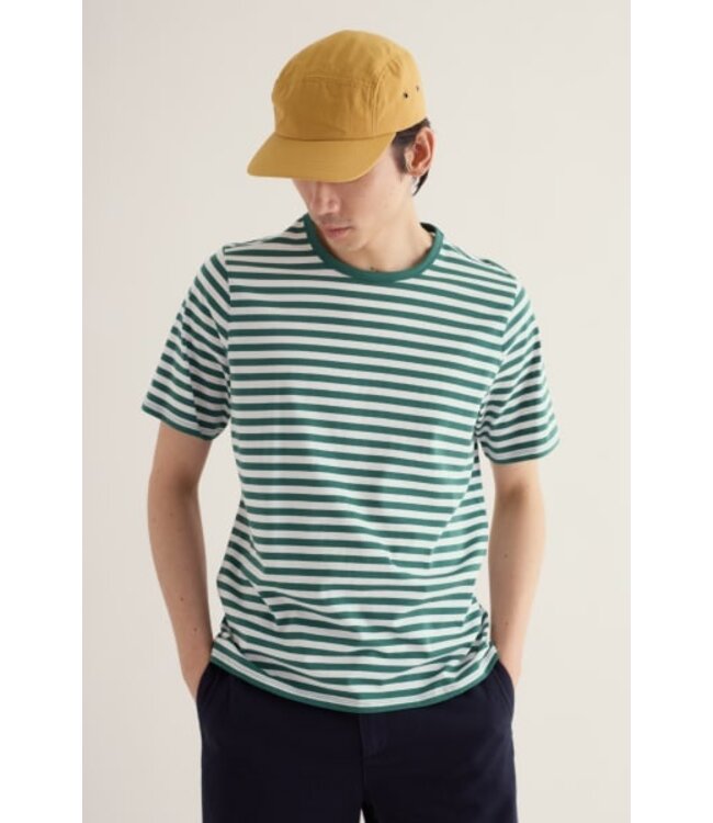 SEASALT CORNWALL •• Seven seas sailor tee | Mini cornish ruscus leaf