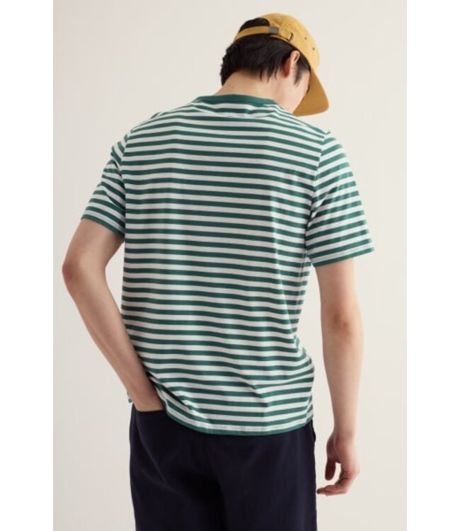 SEASALT CORNWALL •• Seven seas sailor tee | Mini cornish ruscus leaf