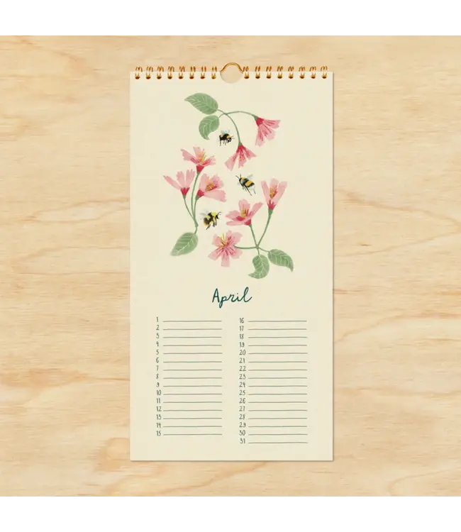 Illu-ster •• Celebration calendar