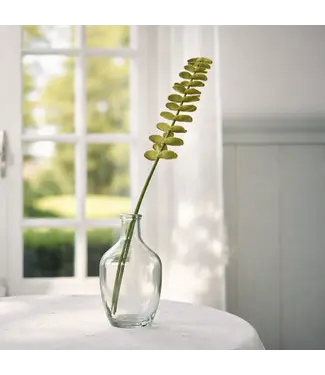 SJAAL MET VERHAAL  •• Tak Eucalyptus Lichtgroen