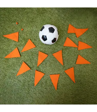 SJAAL MET VERHAAL  •• Viltslinger vlag | Oranje