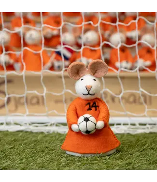 SJAAL MET VERHAAL  •• Muis met voetbal