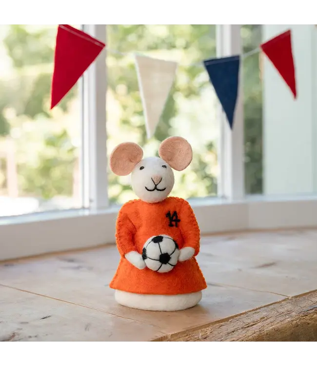SJAAL MET VERHAAL  •• Muis met voetbal