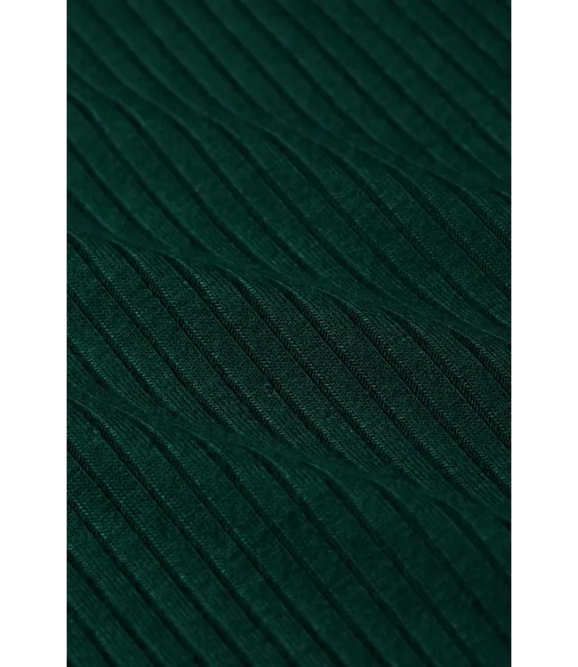 KING LOUIE •• Rollneck Top Uni Rib | Pine Green