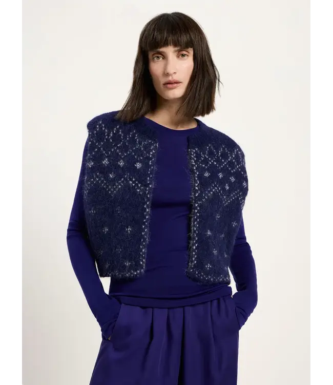 LANIUS •• Doubleface Weste met Jacquard | Violet