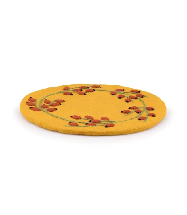 SJAAL MET VERHAAL  •• Onderzetter 35 cm | Rozenbottel
