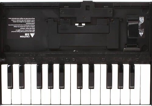 Roland K-25m 