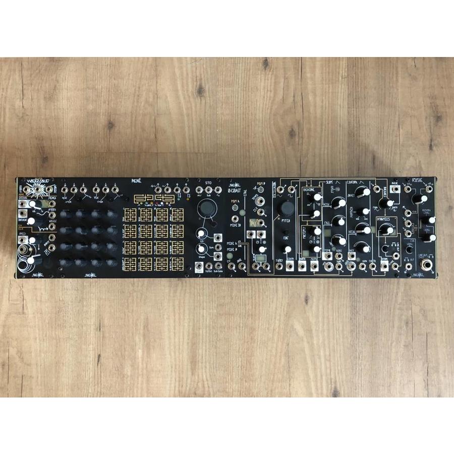 Make Noise Rosie (spring reverb in return)