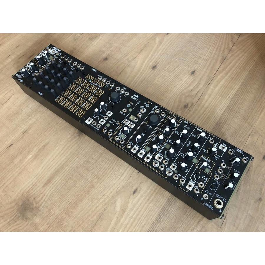 Make Noise Rosie (spring reverb in return)