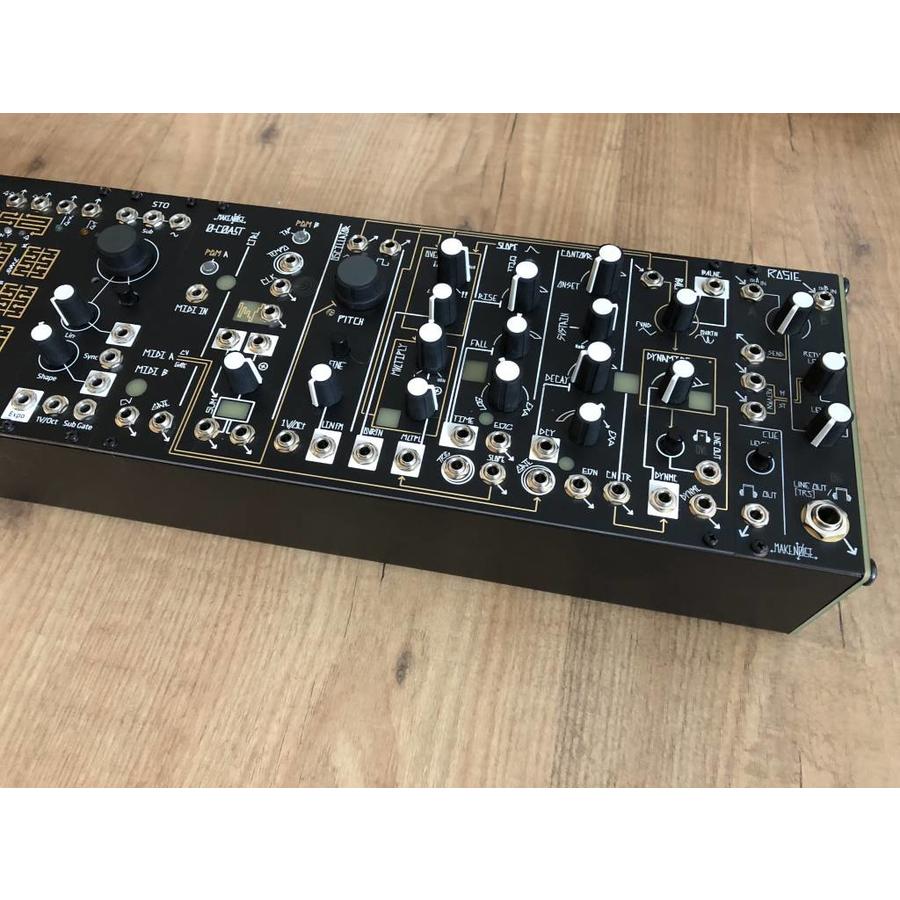 Make Noise Rosie (spring reverb in return)