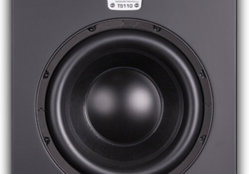 Eve audio TS110 