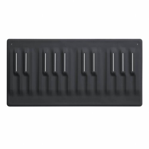 Roli Seaboard Block 