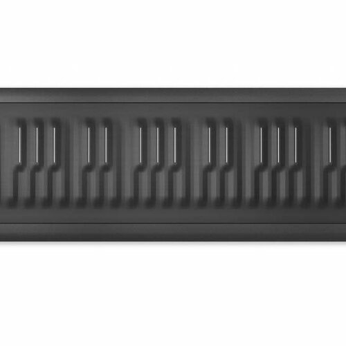 Roli Seaboard Rise 49 