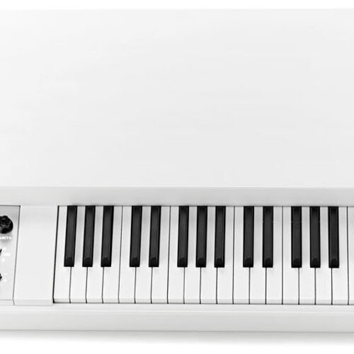Mellotron M4000D - White 