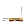 Moog Music Moog Etherwave Theremin