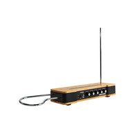 Moog Etherwave Theremin