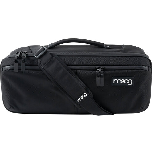 MOOG Etherwave Theremin SR Series Case 