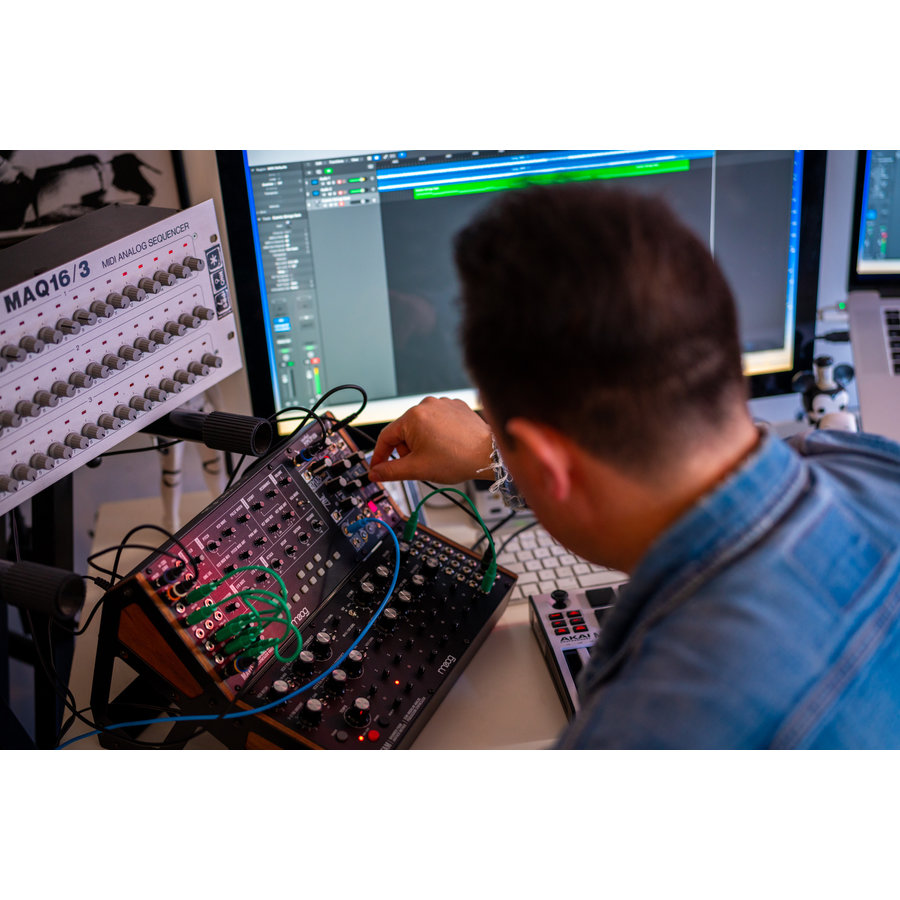 MOOG MUSIC Mavis Synthesizer Kit