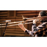 Universal Audio SD-7 Dynamic Microphone w/ Hemisphere modelling