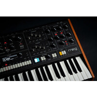 Moog Muse