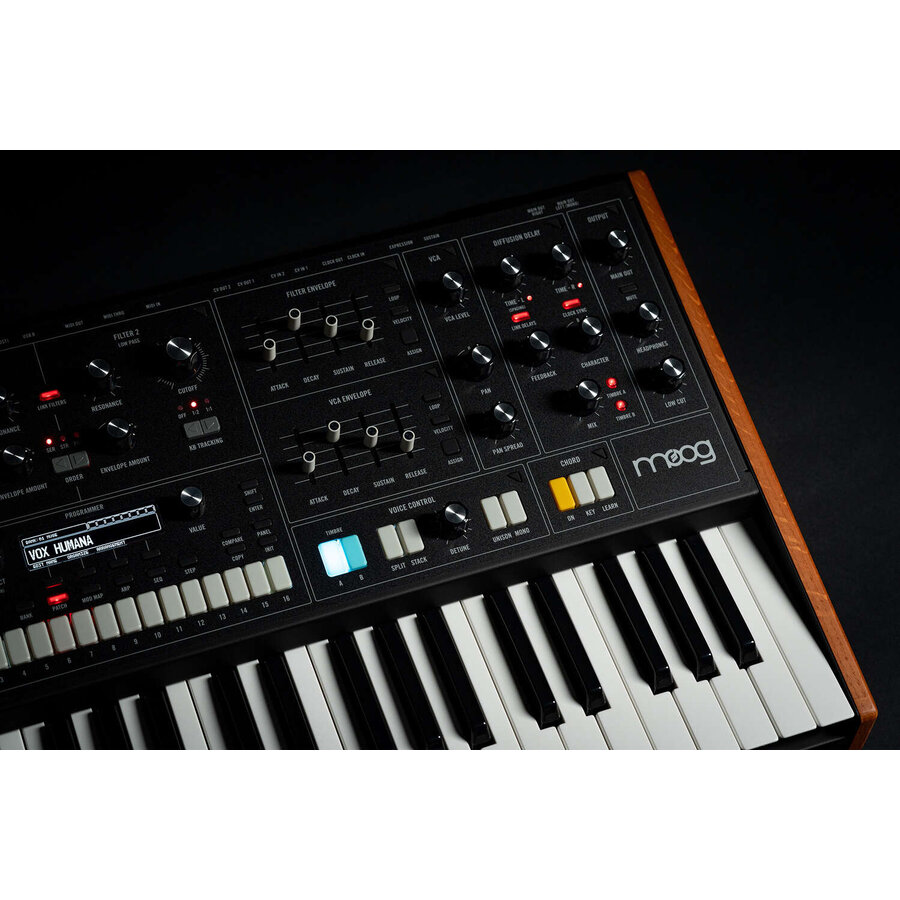 Moog Muse
