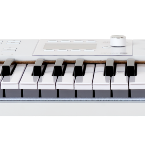 Arturia Keylab Mk3 49 White 