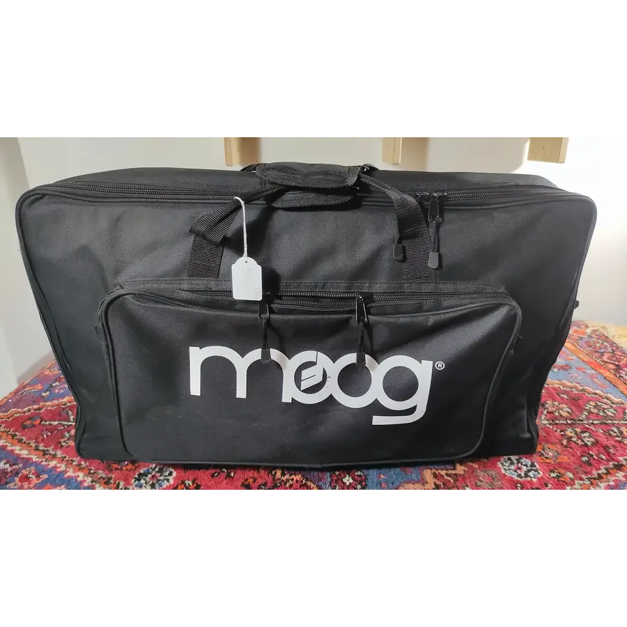 Moog Little Phatty met gigbag