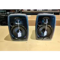 B&W WM4 (pair) - weatherproof monitors