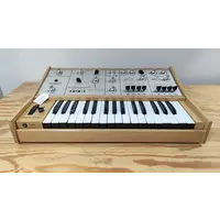 Ritm-2 w/ custom case & CV/Gate Interface