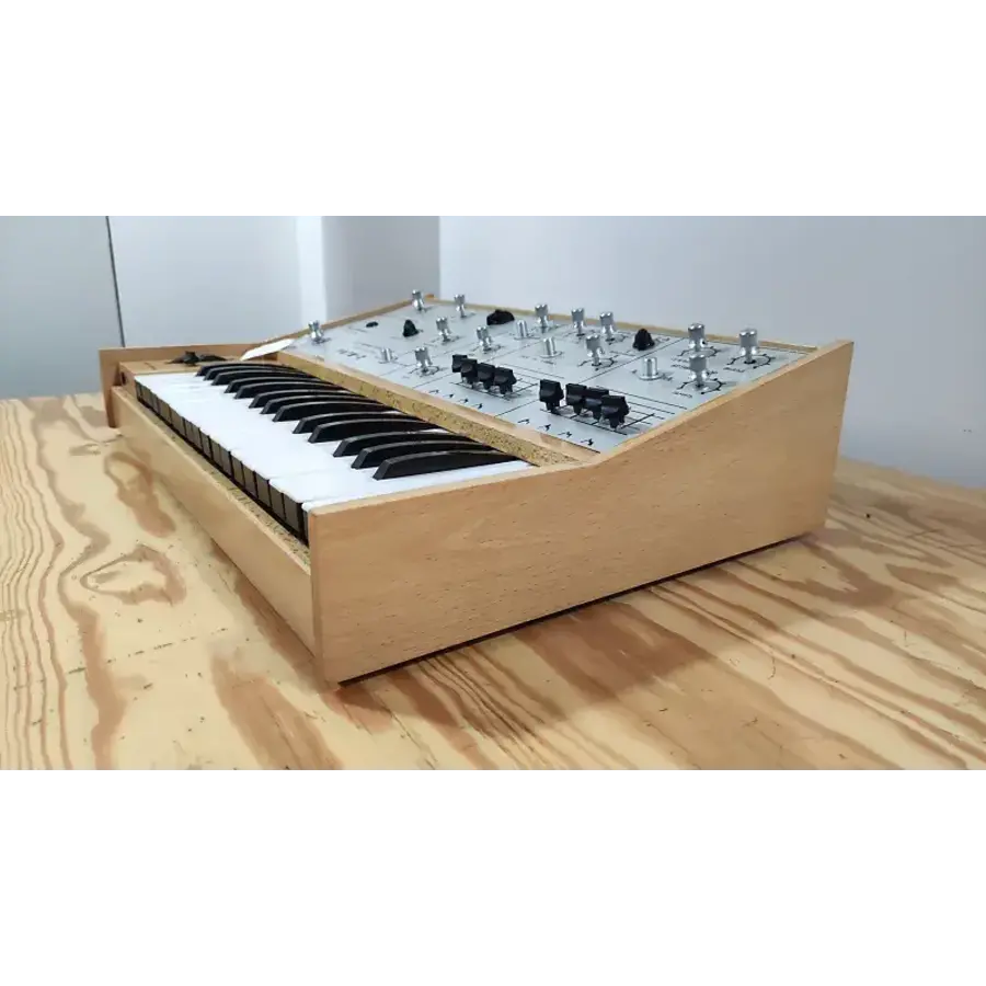 Ritm-2 w/ custom case & CV/Gate Interface