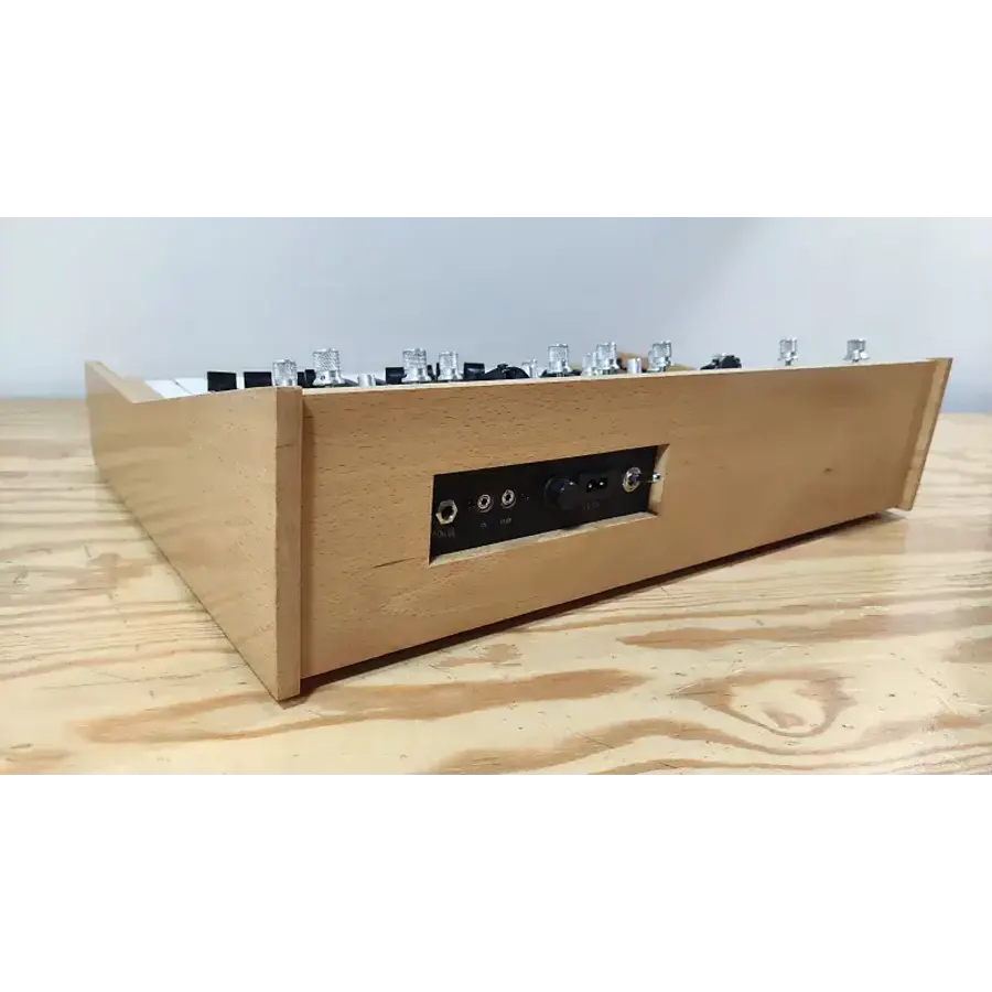 Ritm-2 w/ custom case & CV/Gate Interface