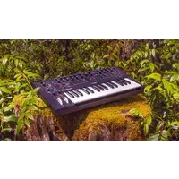 Moog Messenger