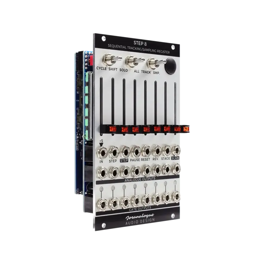 Joranalogue Step 8